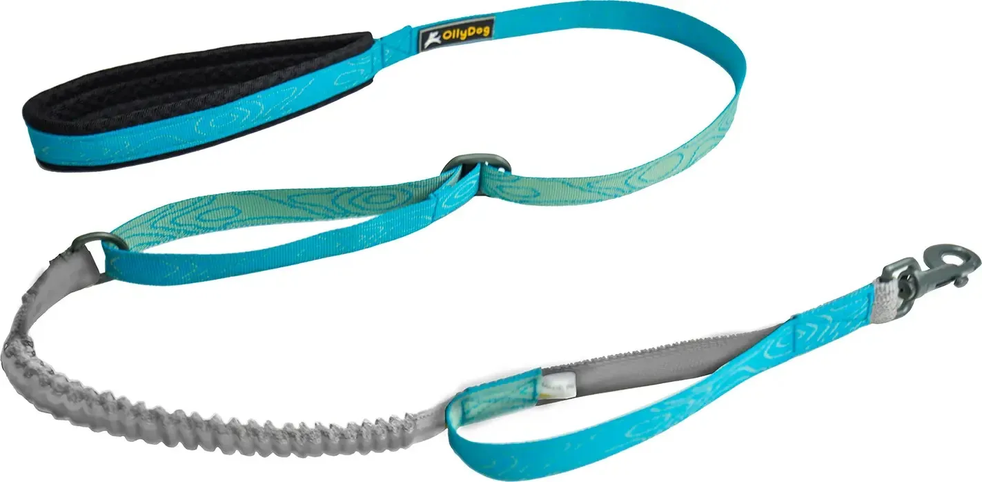 OllyDog Flagstaff Adjustable Spring Leash Sky Bark | Buy OllyDog Flagstaff Adjustable Spring Leash Sky Bark here | Outnorth